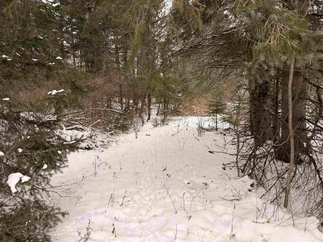 $75,000 | Forest Hill Drive, Townsend, WI 54175