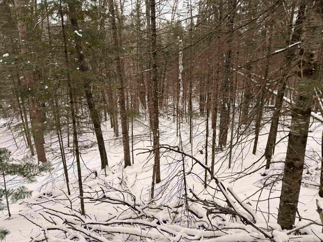 $68,000 | Forest Hill Drive, Townsend, WI 54175