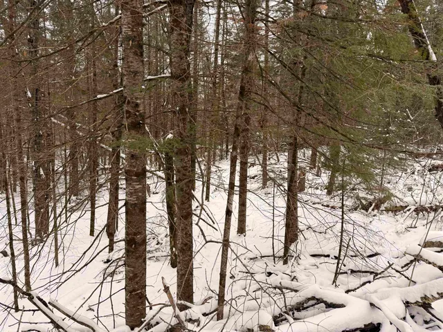 $68,000 | Forest Hill Drive, Townsend, WI 54175