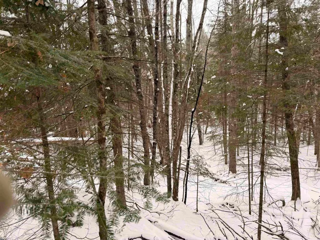 $68,000 | Forest Hill Drive, Townsend, WI 54175