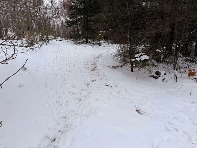 $75,000 | Forest Hill Drive, Townsend, WI 54175