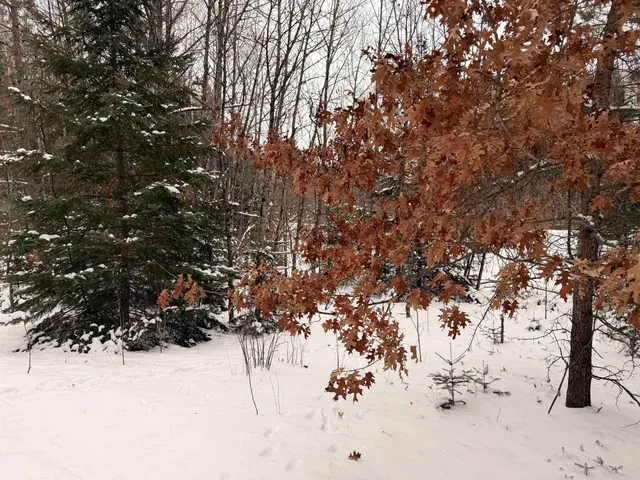 $75,000 | Forest Hill Drive, Townsend, WI 54175