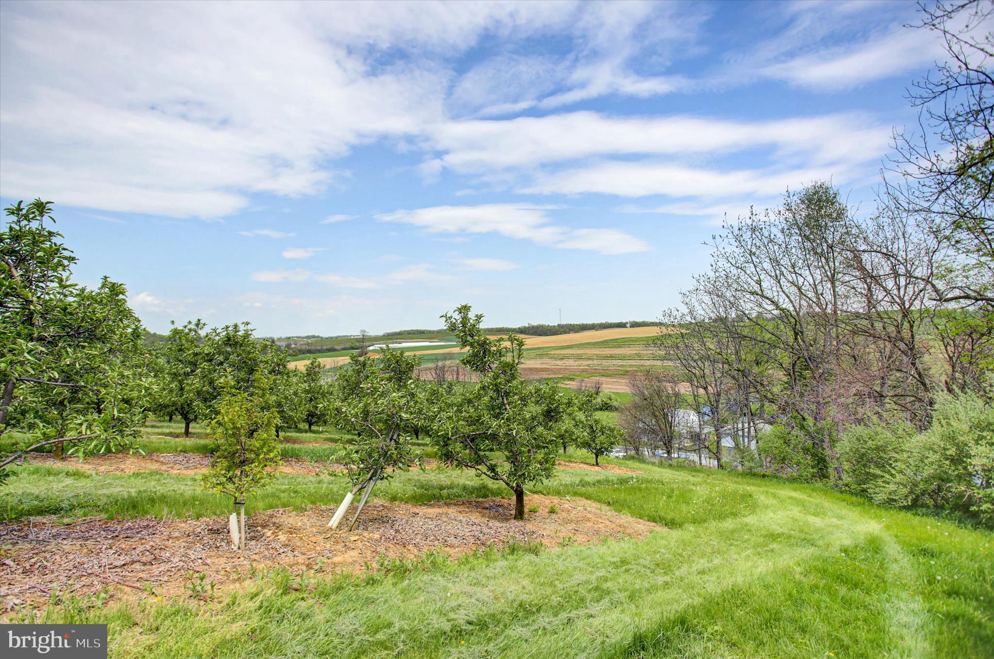 4144 Clay Hill Road Waynesboro, PA 17268 - Photo 20 of 47 Gallery Image 20