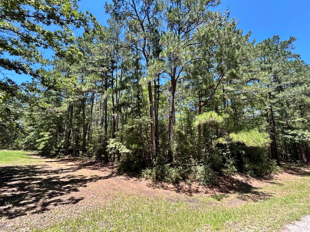Lot 19 B H Carroll Street Trinity, TX 75862 - Photo 11 of 14