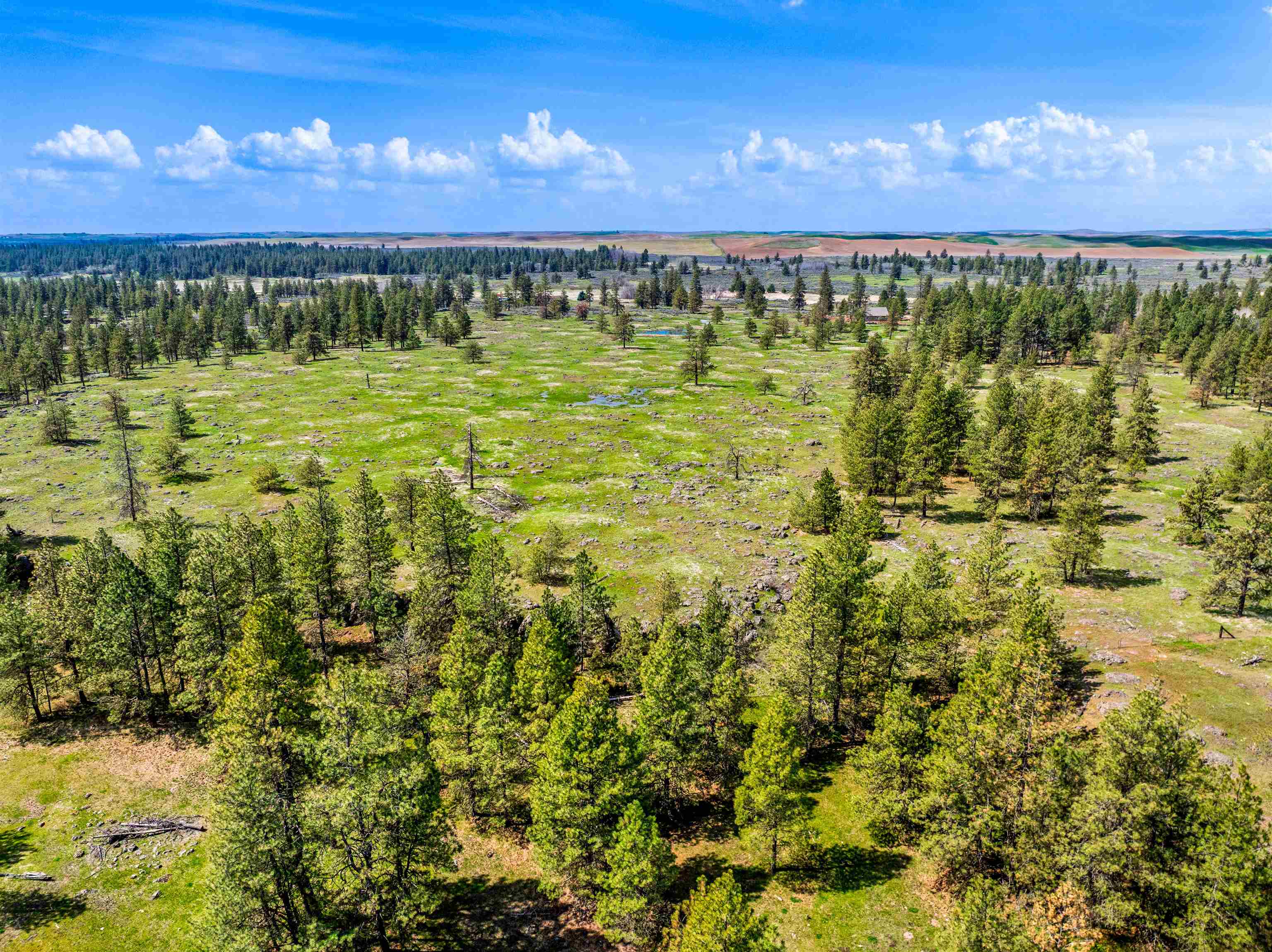 21-xxx South Harrison Road Edwall, WA 99008 - Photo 10 of 10