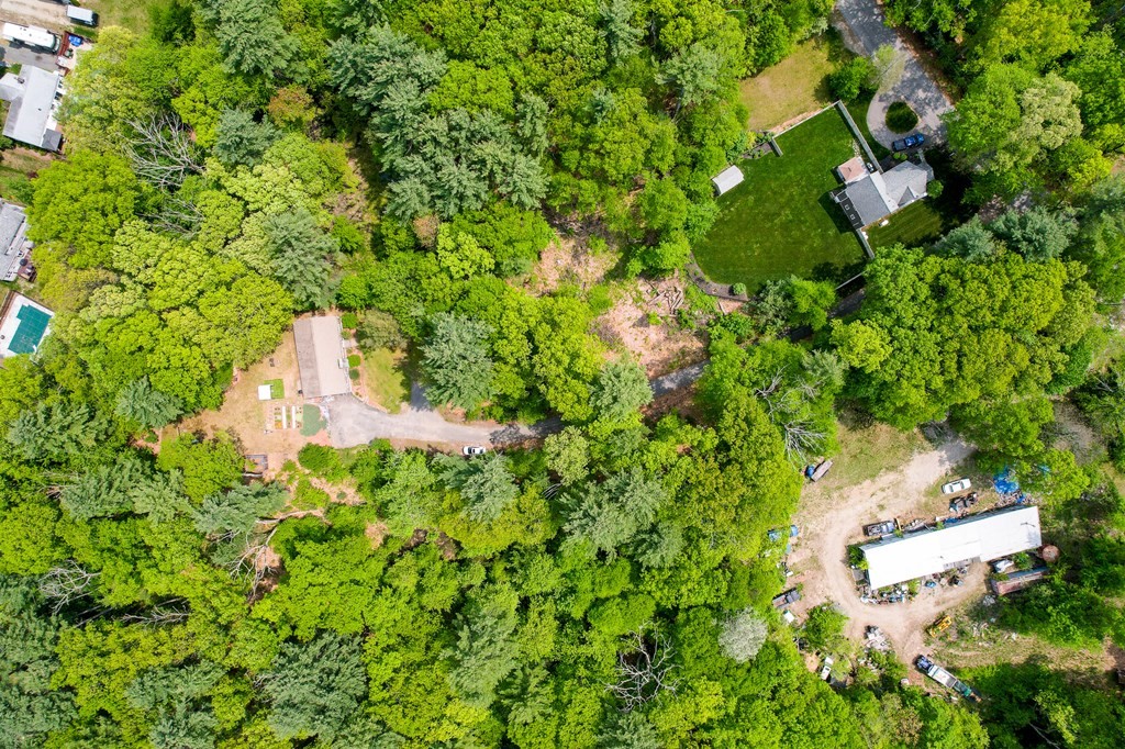 222 Gates Pond Road Berlin, MA 01503 - Photo 26 of 36 a backyard of a house with lots of green space