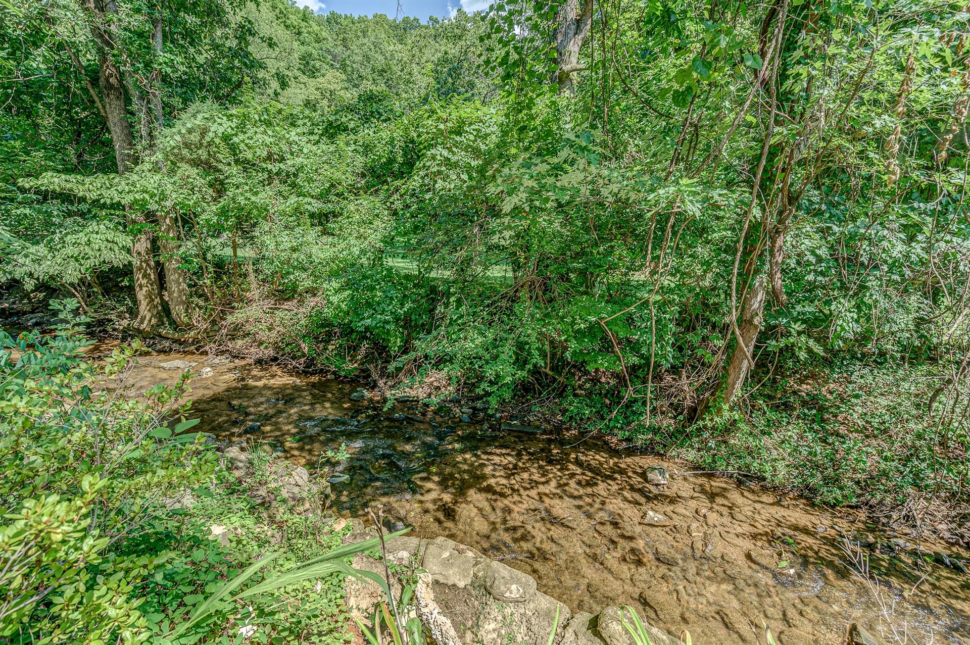 2022 Mt Vernon Road Southwest Roanoke, VA 24015 - Photo 43 of 49 44-2022 Mt Vernon 044