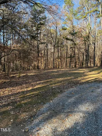 a view of a yard with large trees