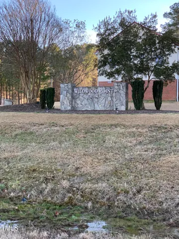 a street view with large trees