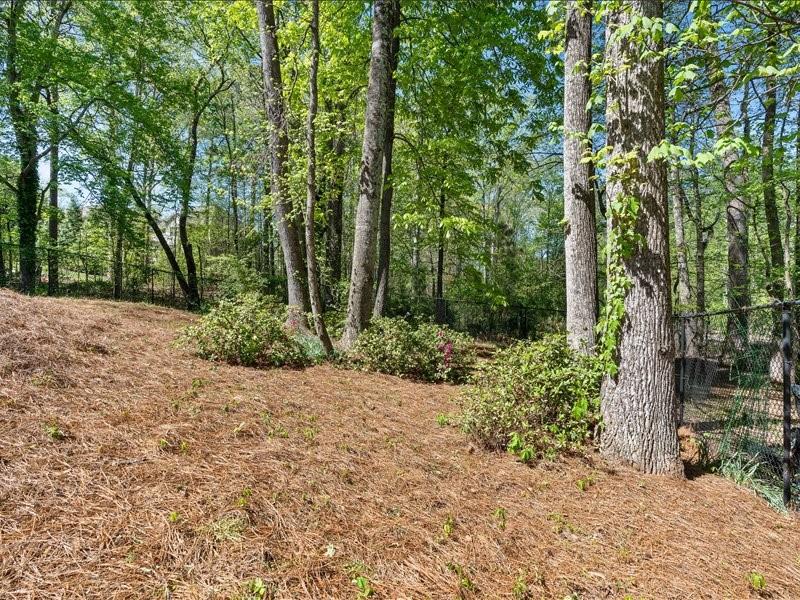 10570 Buice Road Johns Creek, GA 30022 - Photo 71 of 81