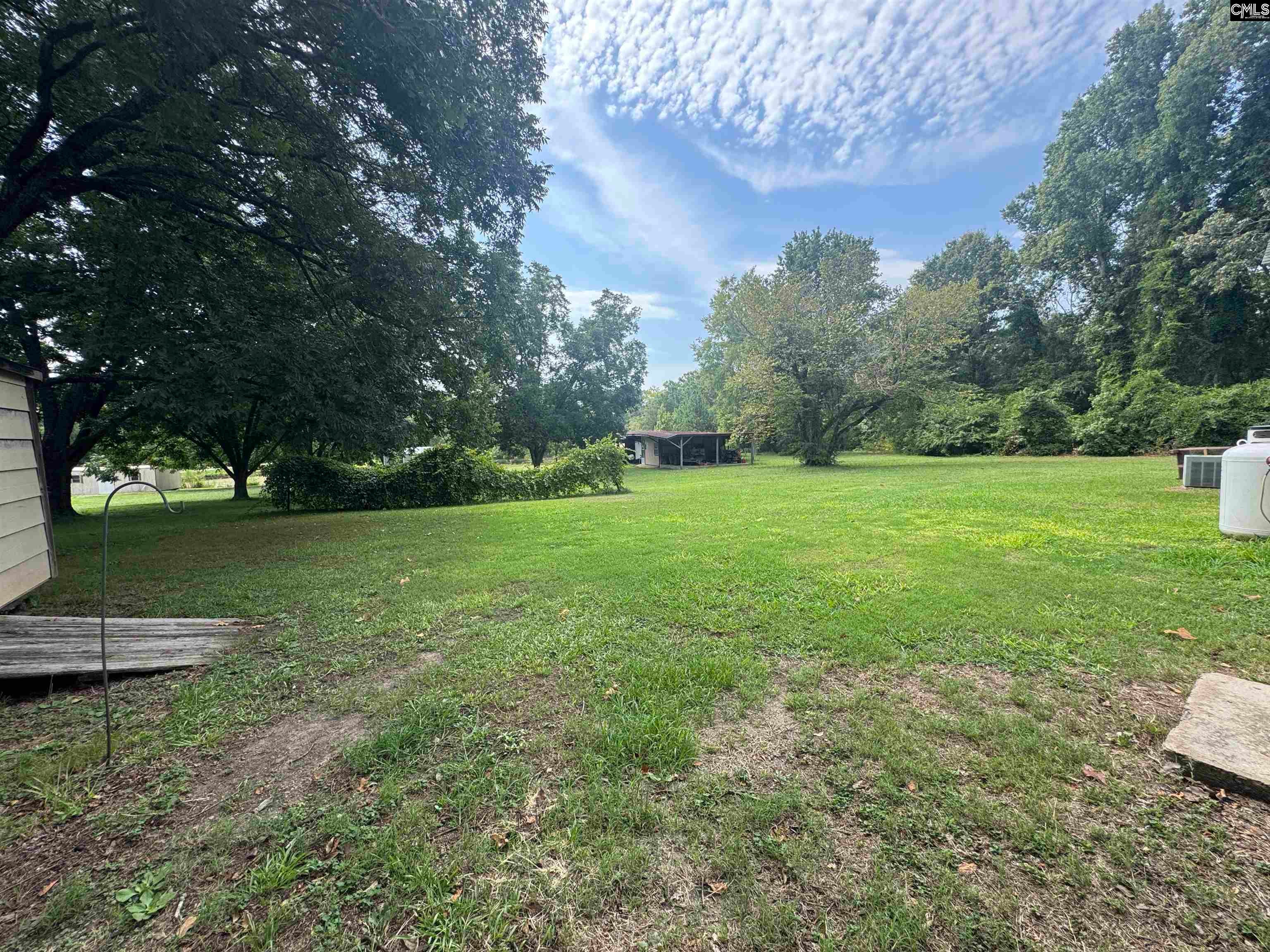 207 St Peters Church Road Chapin, SC 29036 - Photo 20 of 23 Gallery Image 20