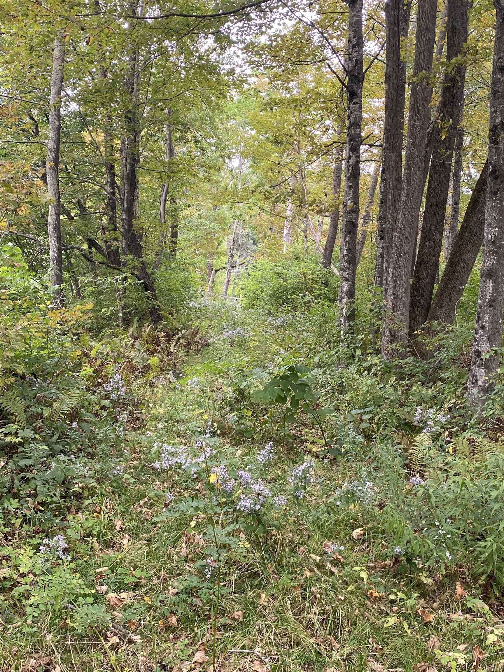 1344 Vt Route 100 Rochester, VT 05767 - Photo 27 of 34