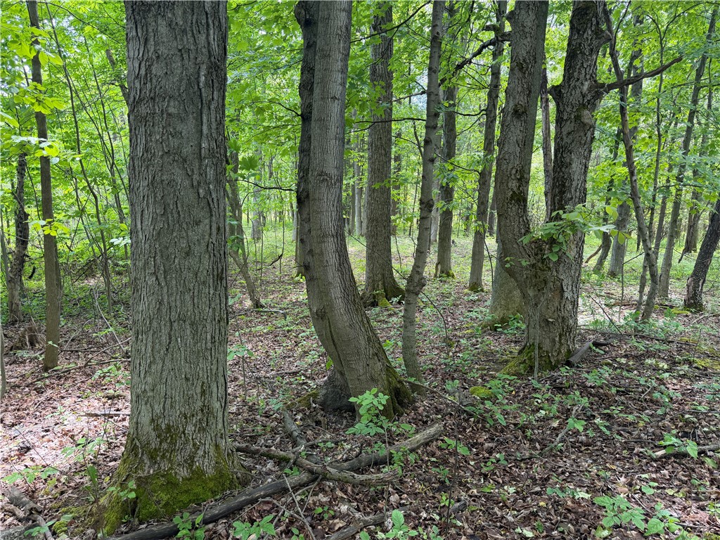 Vl Reed Road Dansville, NY 14437 - Photo 6 of 29