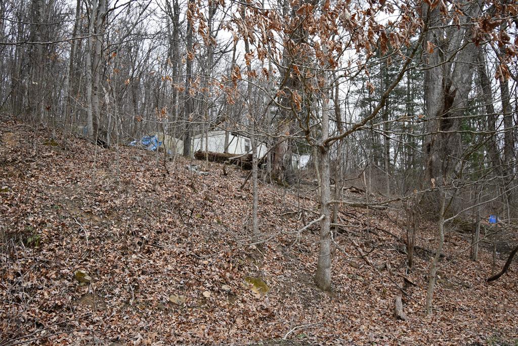 3384 Tiptop Road, Unit 37 North Tazewell, VA 24630 - Photo 1 of 2 Gallery Image 1