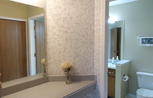 913 Ridgefield Lane Wheeling, IL 60090 - Photo 14 of 23 a bathroom with a sink and a toilet