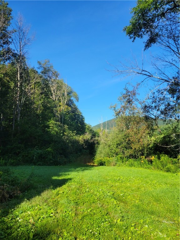 1835 Ferris Hill Road Grand Gorge, NY 12434 - Photo 10 of 19