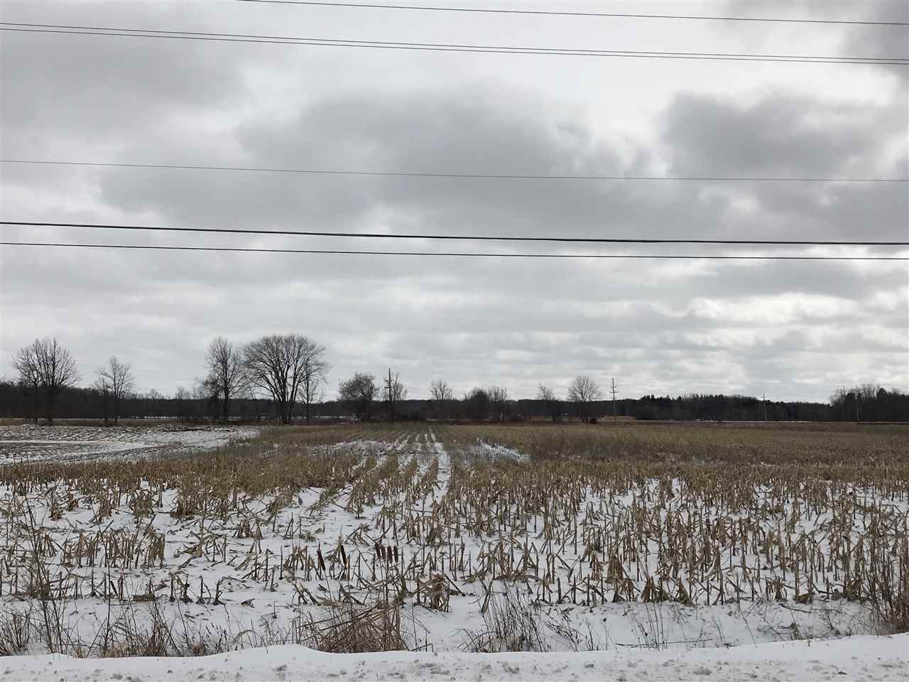 11541 Peet Road Chesaning, MI 48616 - Photo 8 of 41 Gallery Image 8