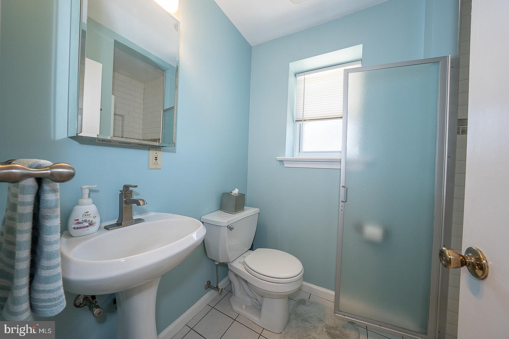 848 Mourning Dove Road Audubon, PA 19403 - Photo 49 of 86 a bathroom with a sink a toilet and mirror