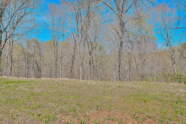 a view of outdoor space with green field and trees