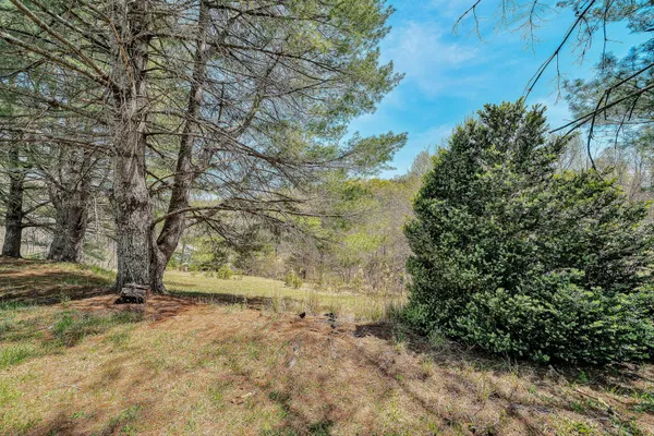 a view of backyard of green space