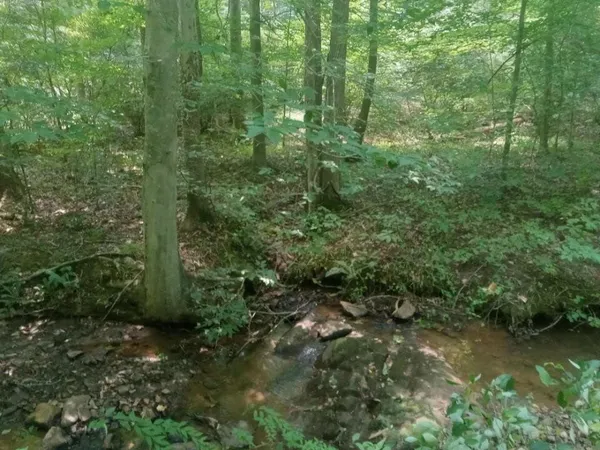 $259,000 | 19660 Franklin Street, Ferrum, VA 24088