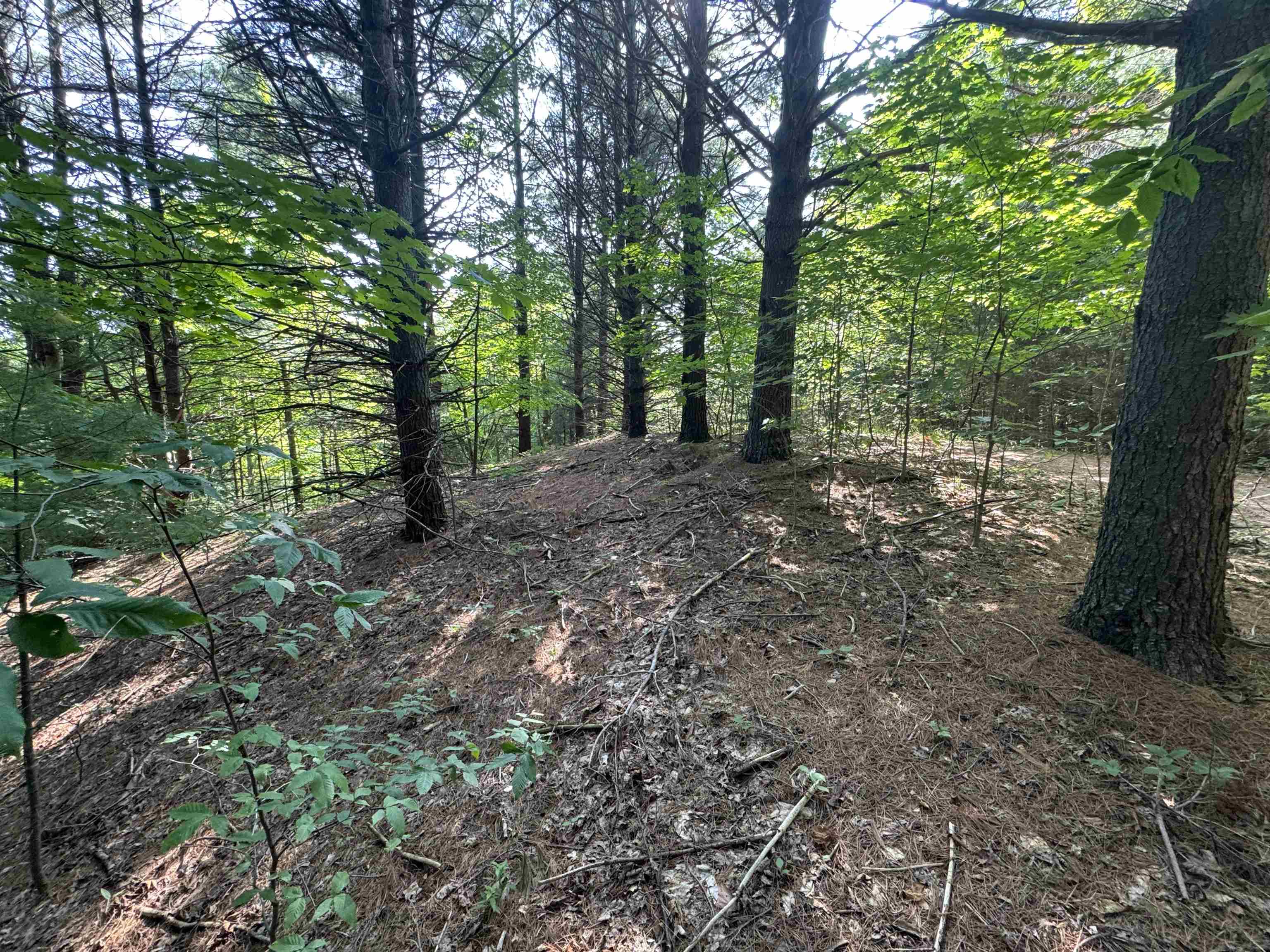 Lot #6 East Bellinger Road, Unit 6 BELLINGER ESTATES (FIN) Cedar, MI 49621 - Photo 21 of 34
