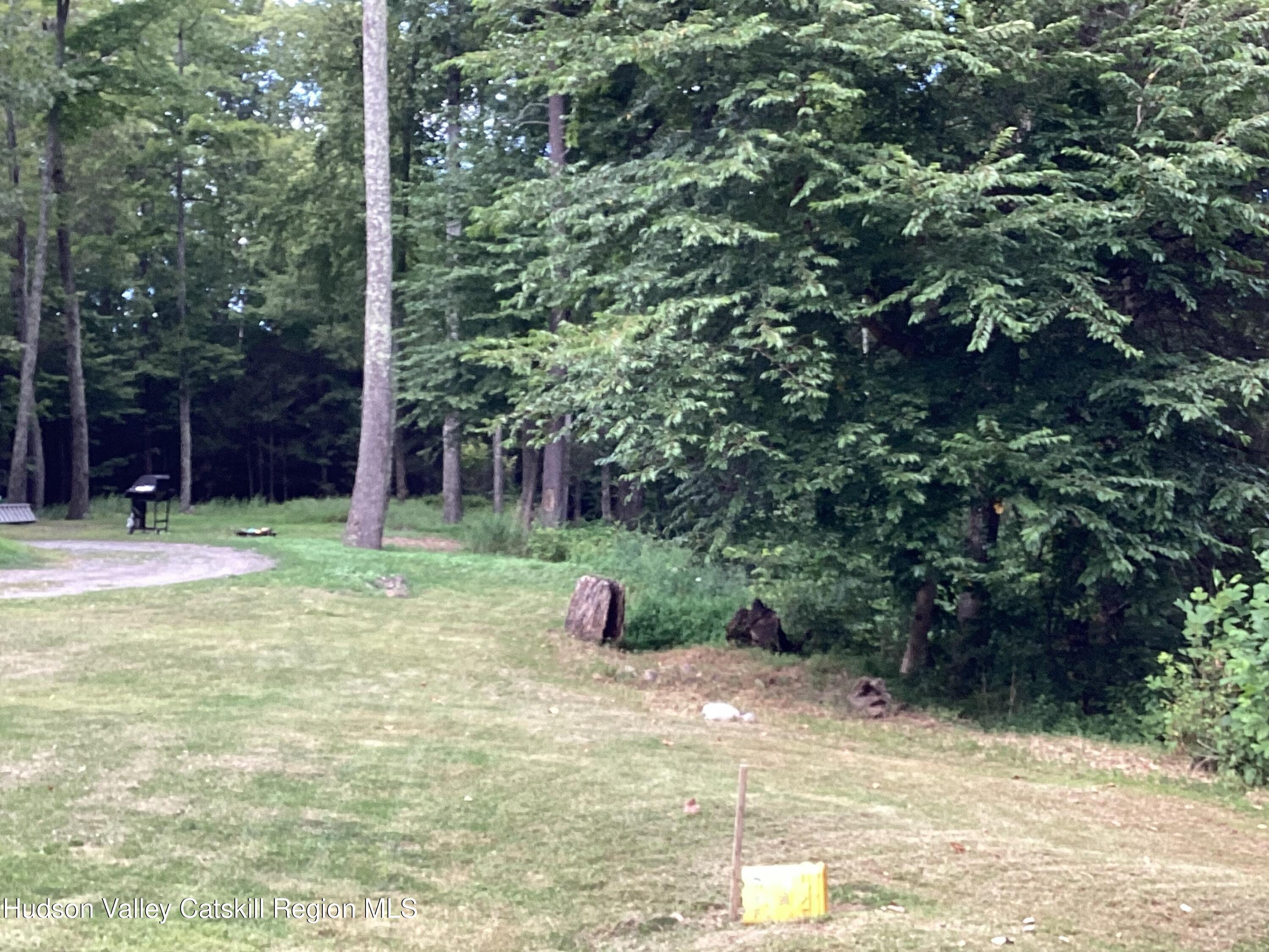 83 Buffalo Road Saugerties, NY 12477 - Photo 33 of 54 a view of a backyard with potted plants and large trees