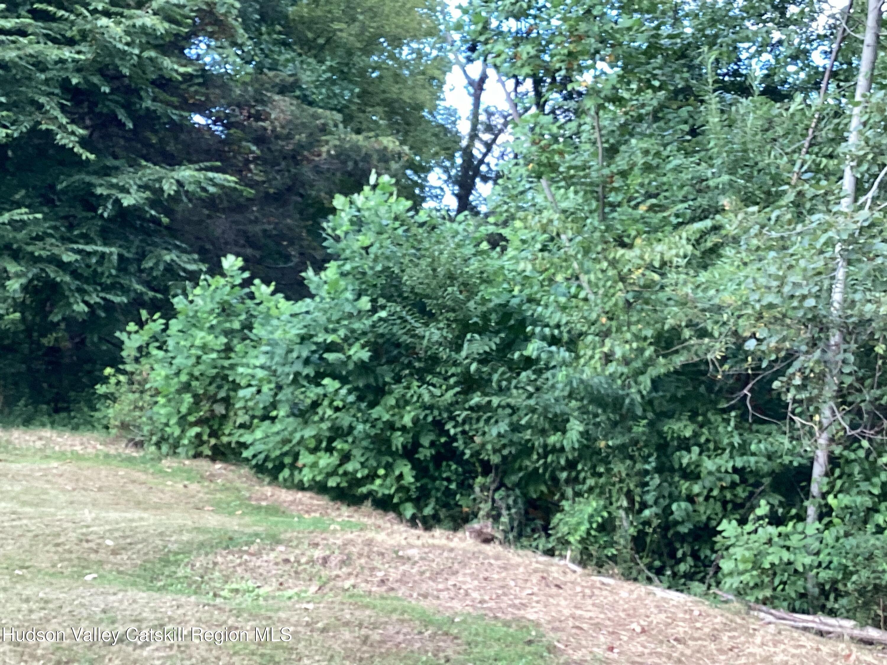 83 Buffalo Road Saugerties, NY 12477 - Photo 34 of 54 a view of bushes and pathway
