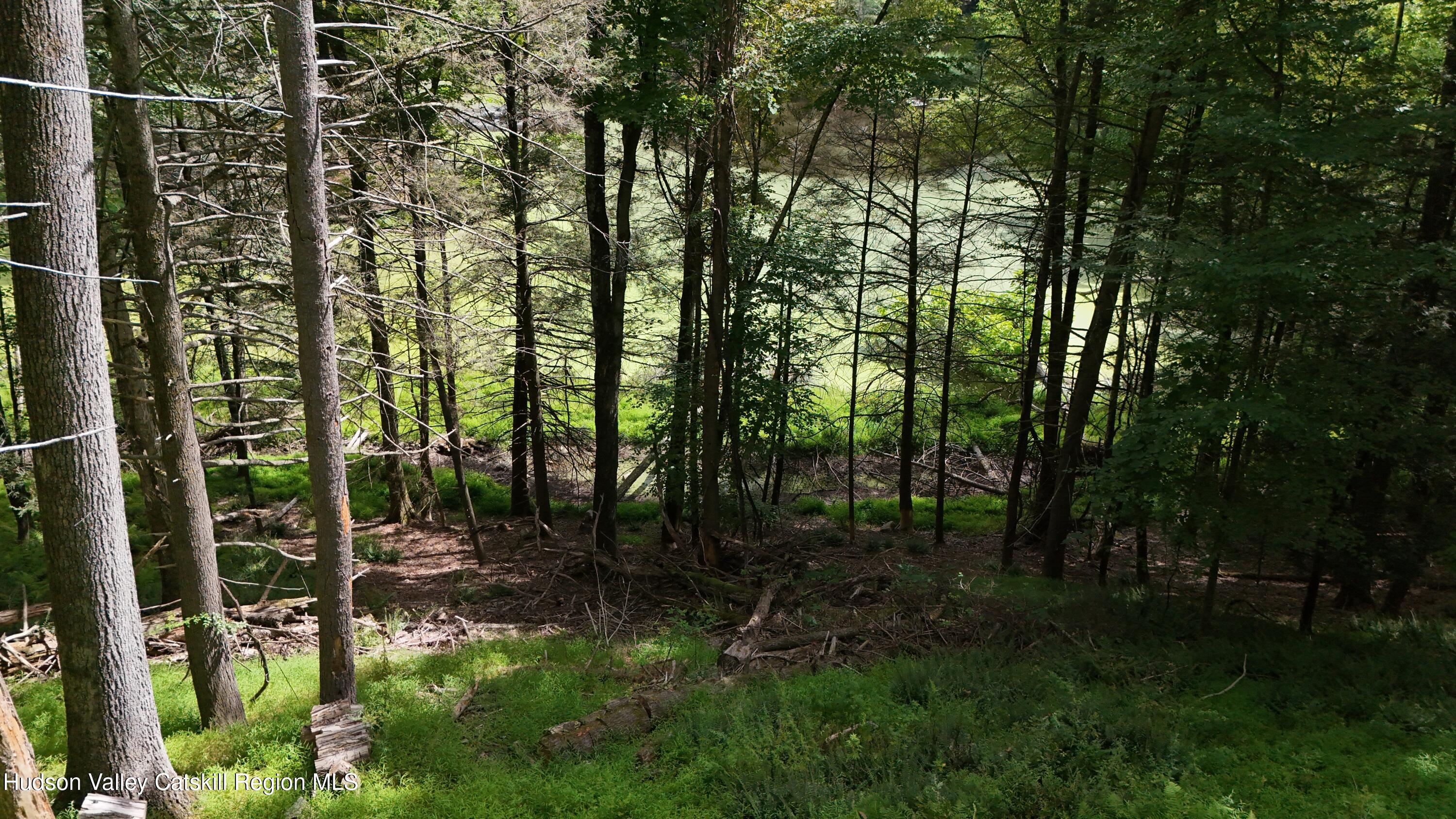 83 Buffalo Road Saugerties, NY 12477 - Photo 43 of 54 a view of outdoor space and garden