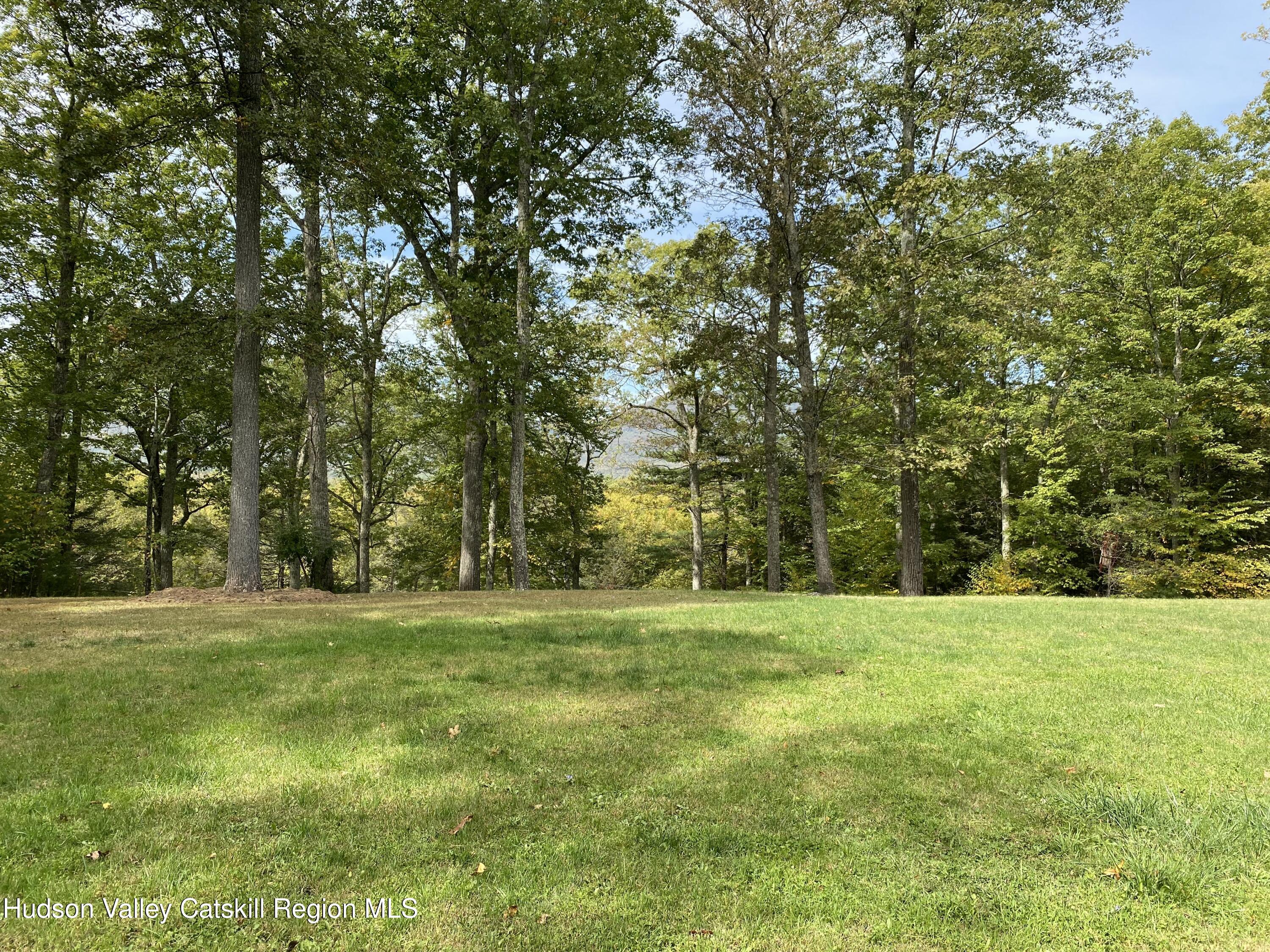 83 Buffalo Road Saugerties, NY 12477 - Photo 45 of 54 a grassy field with trees in the background