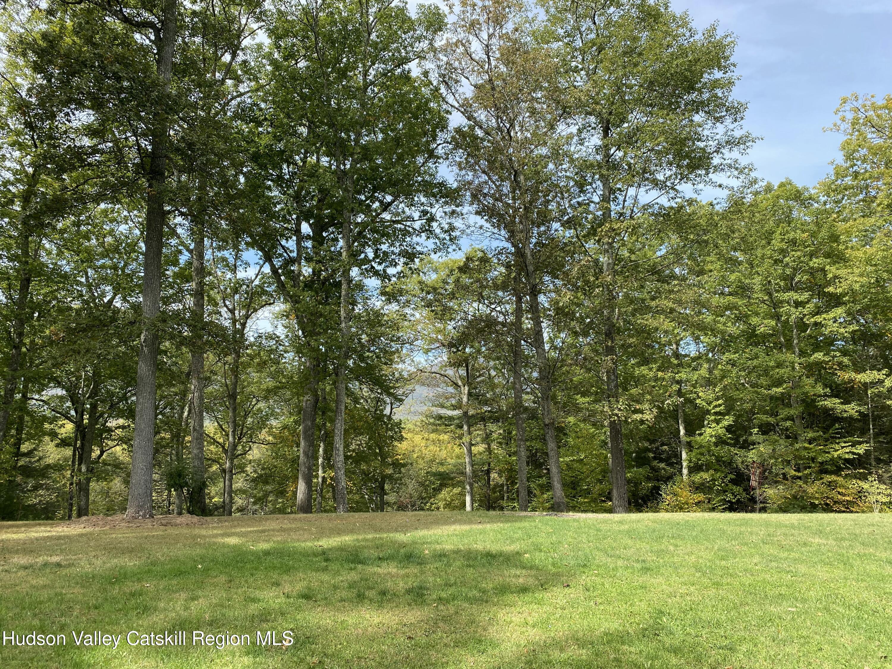 83 Buffalo Road Saugerties, NY 12477 - Photo 46 of 54 a grassy field with trees in the background