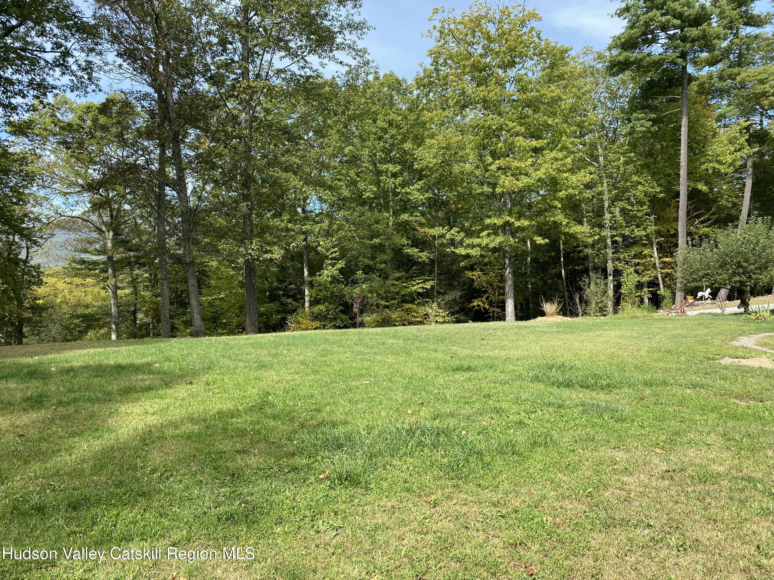 83 Buffalo Road Saugerties, NY 12477 - Photo 47 of 54 a view of a park with trees in the background