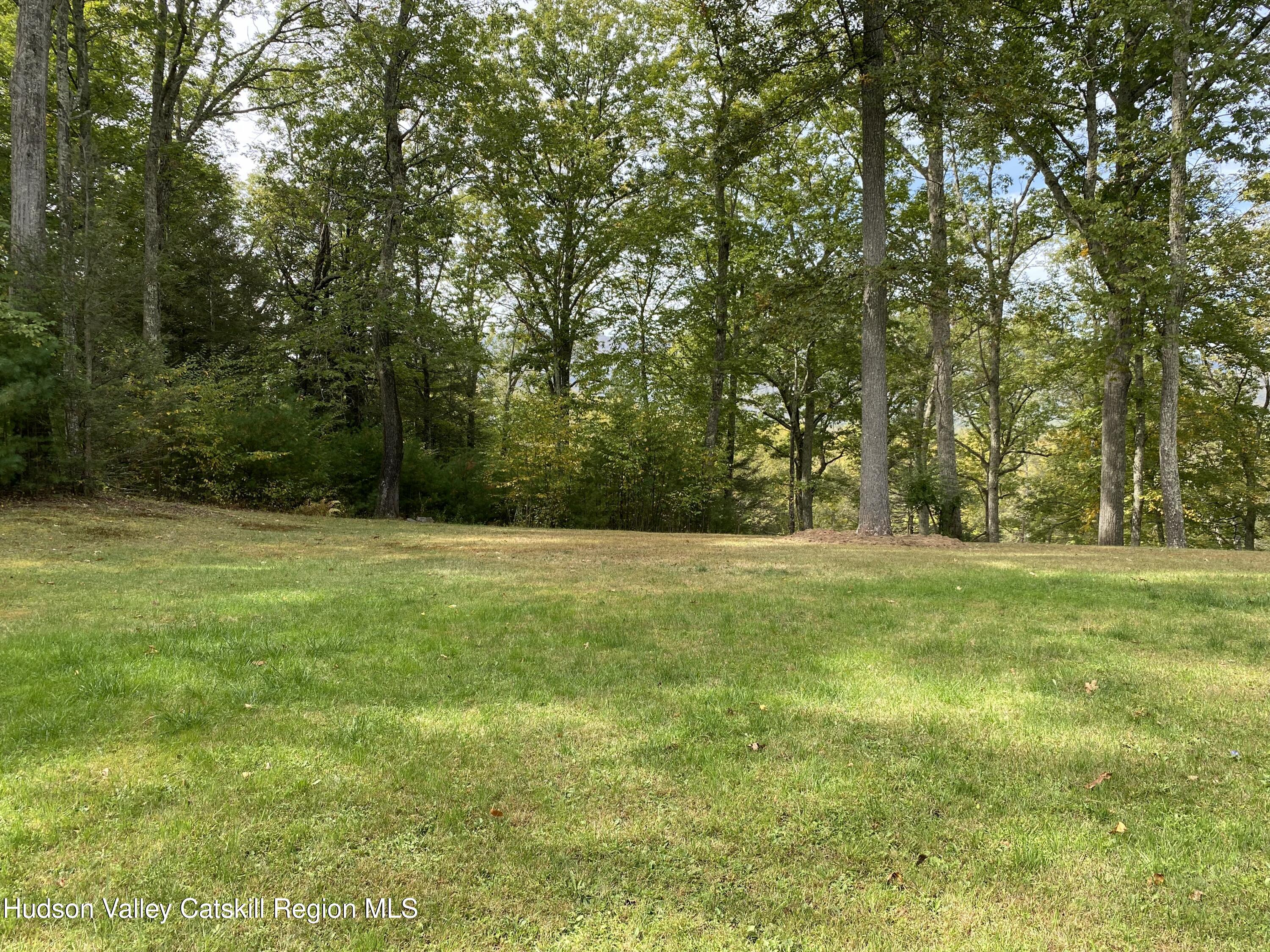 83 Buffalo Road Saugerties, NY 12477 - Photo 48 of 54 a view of outdoor space with trees all around