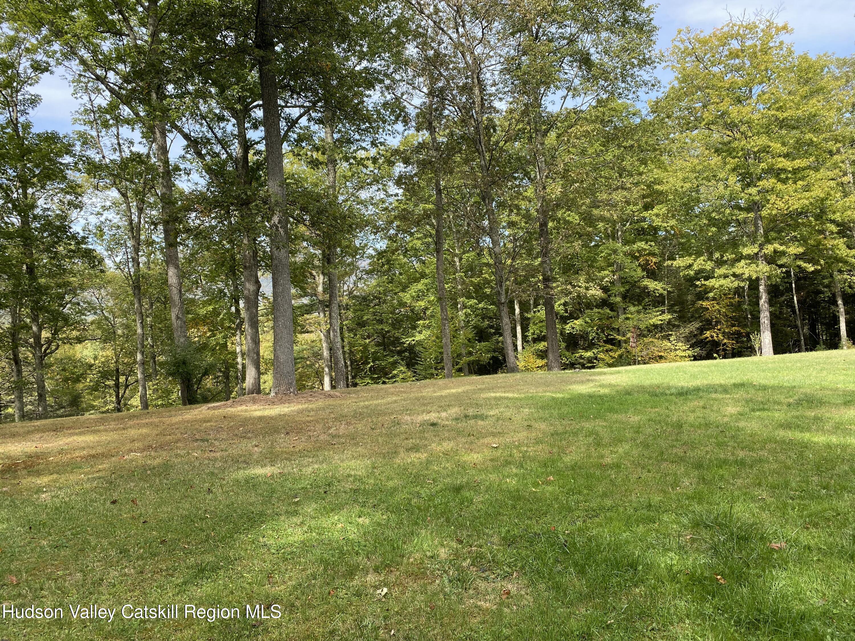 83 Buffalo Road Saugerties, NY 12477 - Photo 50 of 54 IMG_4820