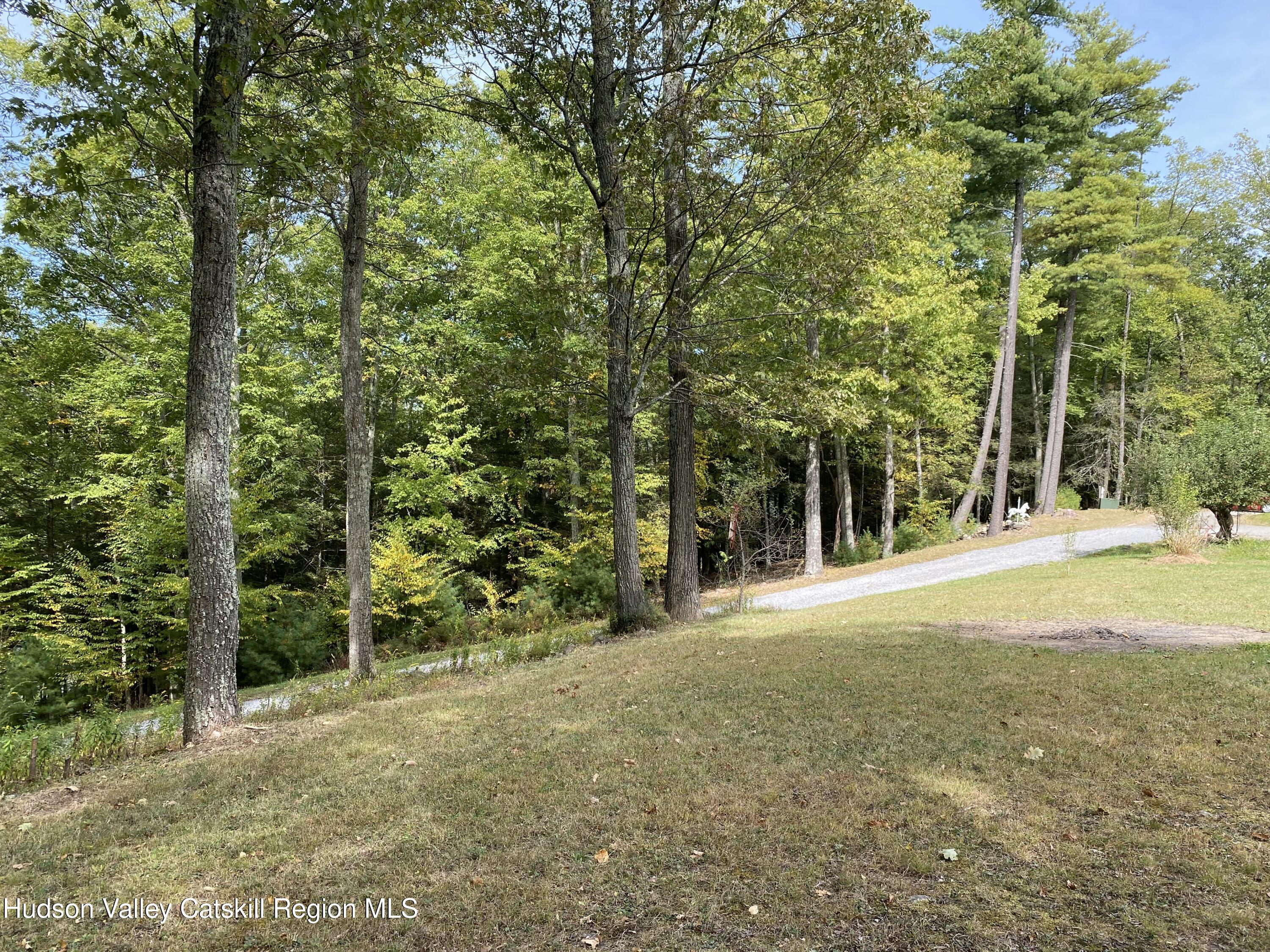 83 Buffalo Road Saugerties, NY 12477 - Photo 52 of 54 a view of outdoor space and trees
