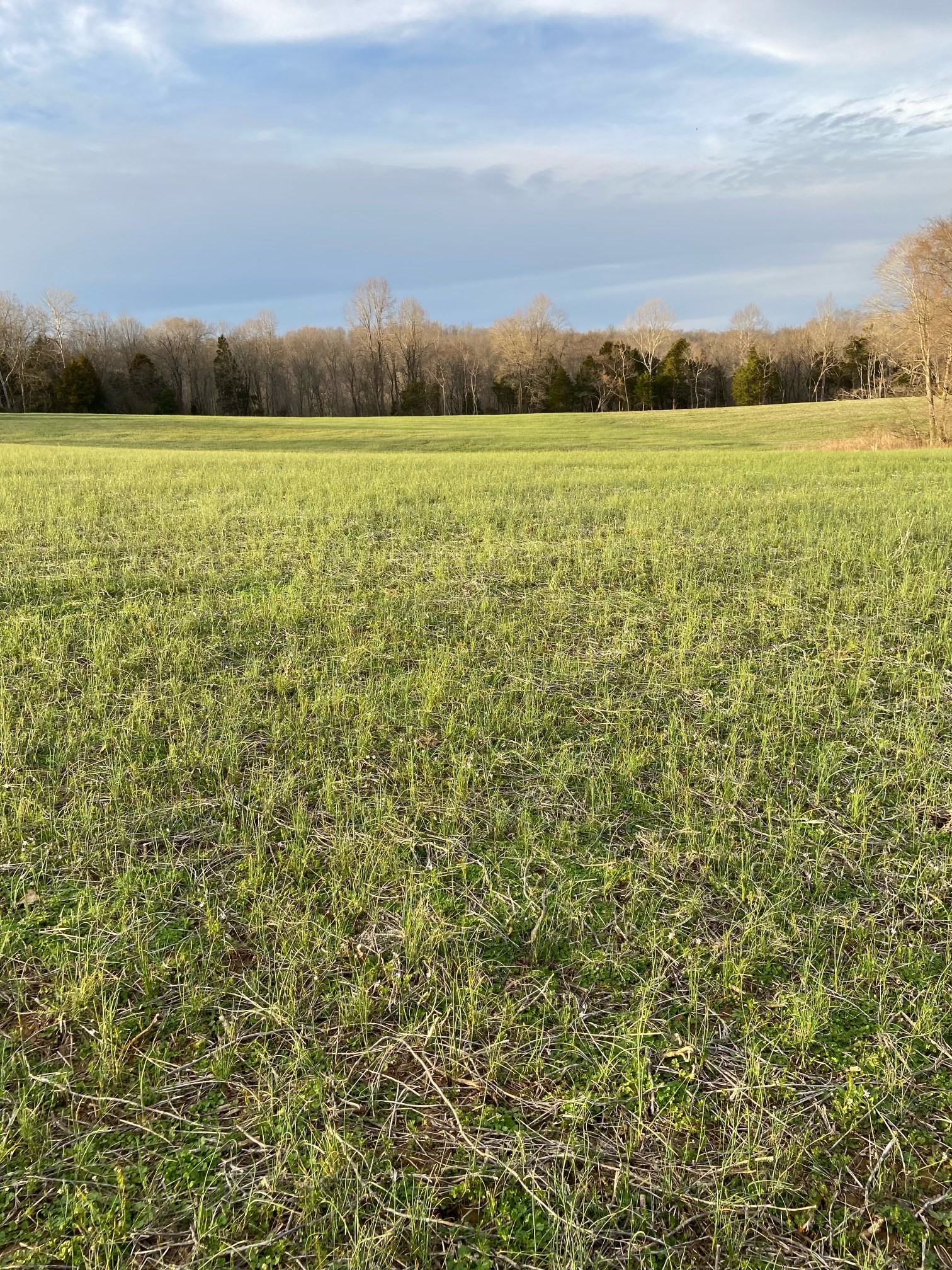5515 Epps Road Southside, TN 37171 - Photo 4 of 6 Gallery Image 4