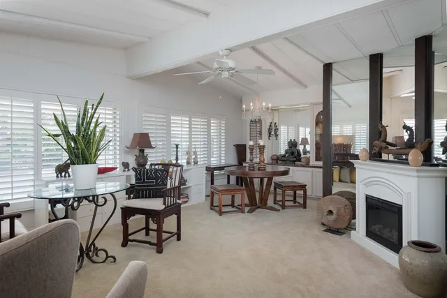 a living room with furniture a fireplace and a potted plant