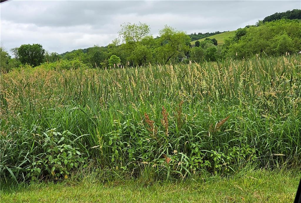 Lot 36-39 Baton Road Ligonier, PA 15658 - Photo 3 of 4