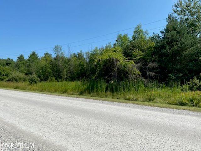 0 Imlay City Road Avoca, MI 48006 - Photo 9 of 10