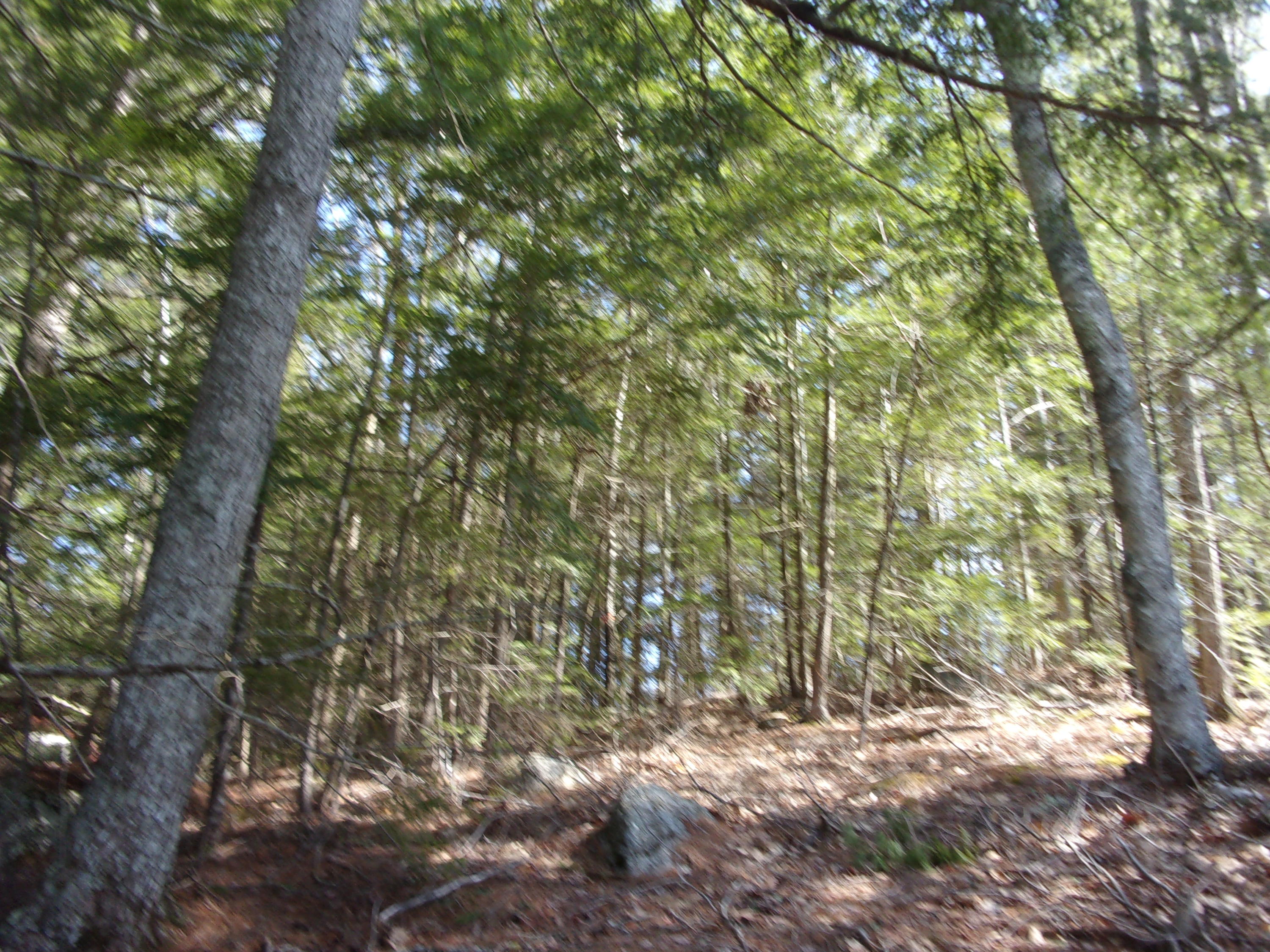 0 Trinity Way Ellsworth, ME 04605 - Photo 5 of 5 100_3026