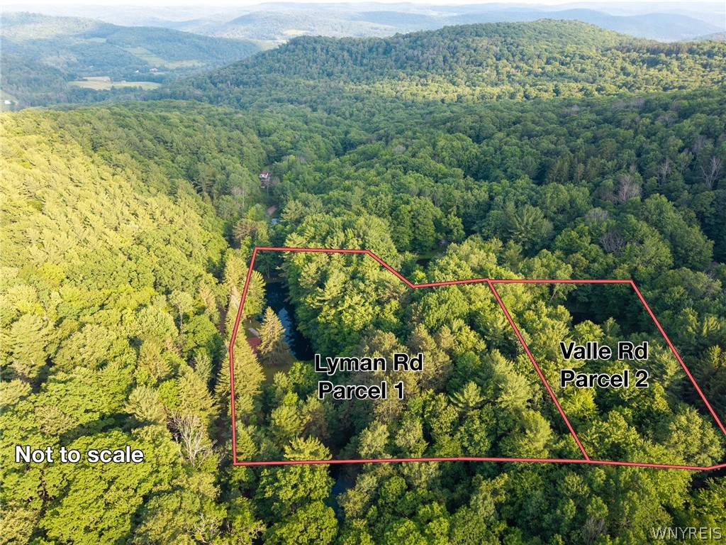 9173 Lyman Road Clarksville, NY 14727 - Photo 9 of 48 Approx Outline of Parcels - not to scale