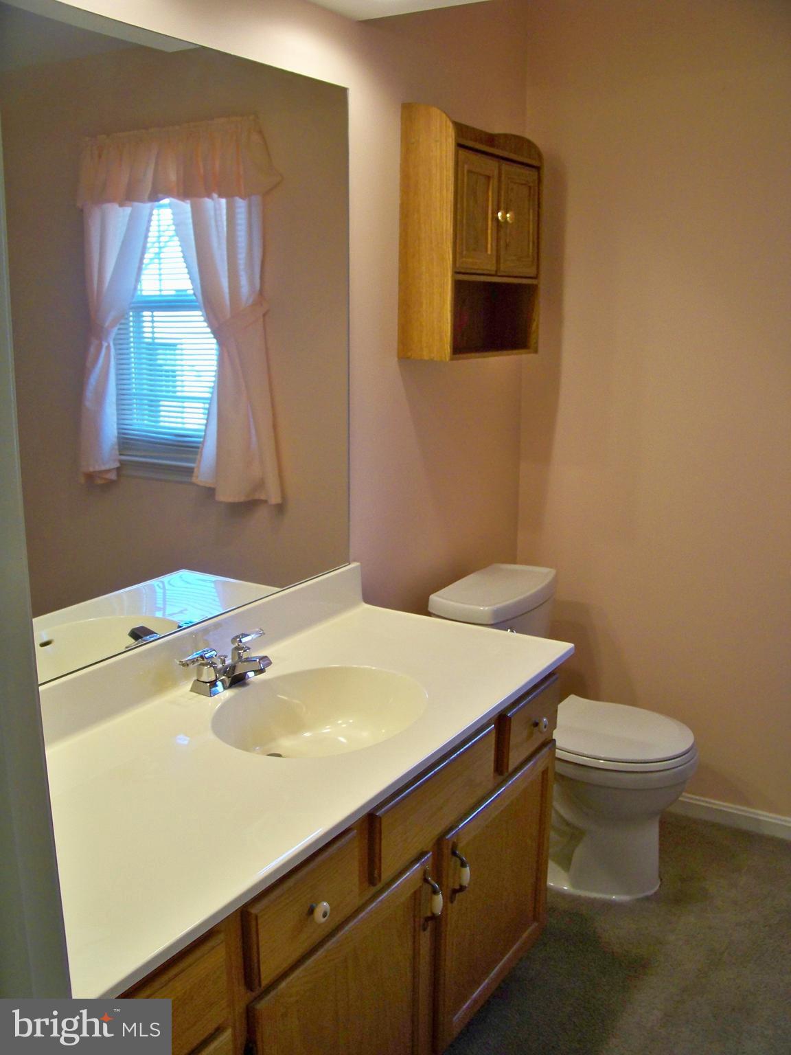 259 Raspberry Road Leola, PA 17540 - Photo 15 of 27 a bathroom with a sink a toilet and window
