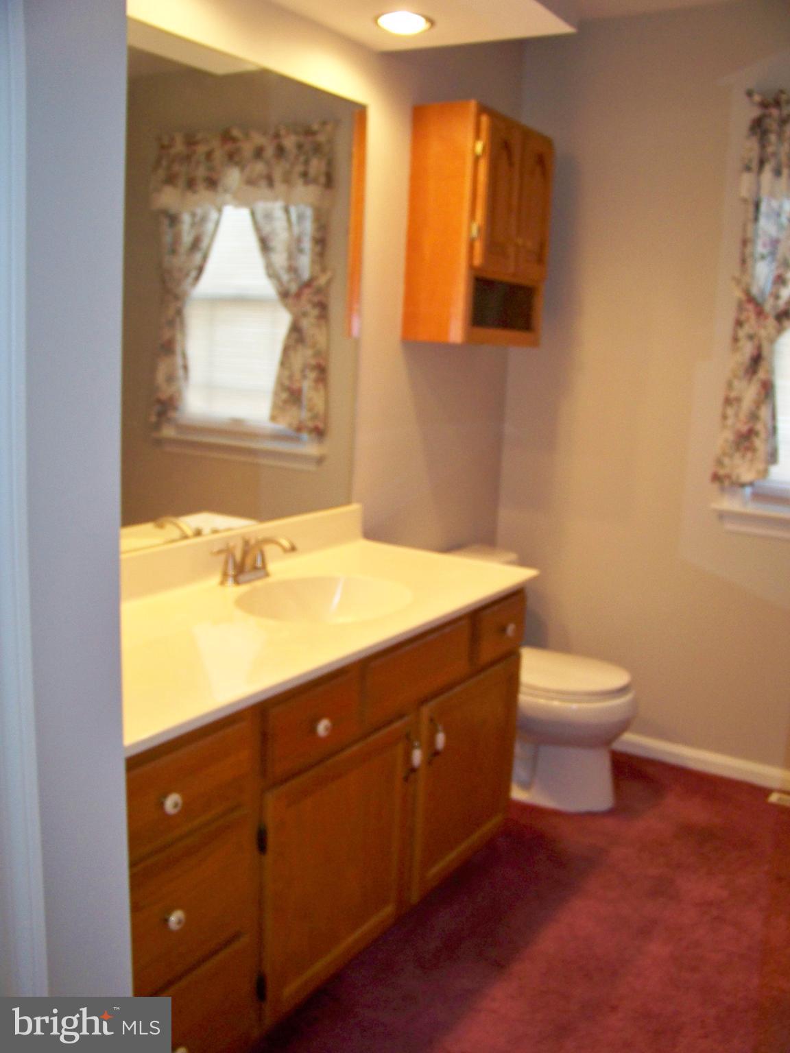 259 Raspberry Road Leola, PA 17540 - Photo 17 of 27 a bathroom with a toilet sink vanity and mirror
