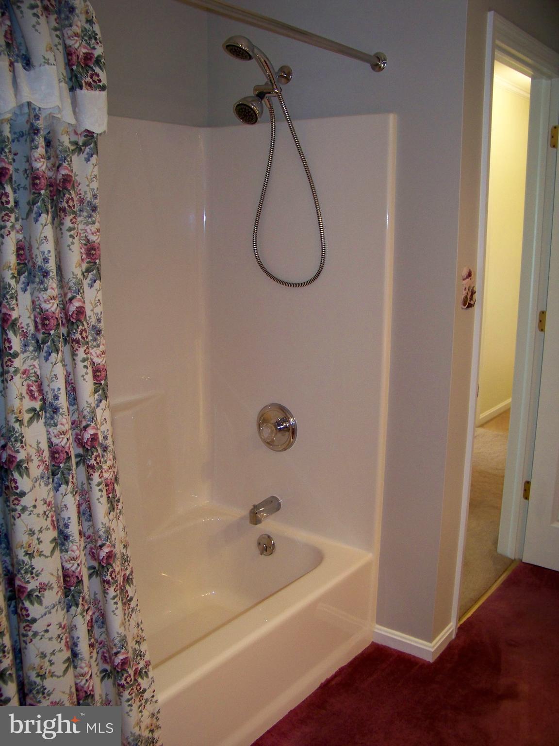 259 Raspberry Road Leola, PA 17540 - Photo 18 of 27 a bathroom with a bath tub and a shower
