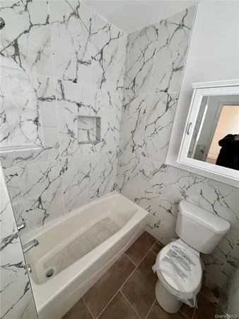 a bathroom with a toilet and a bathtub
