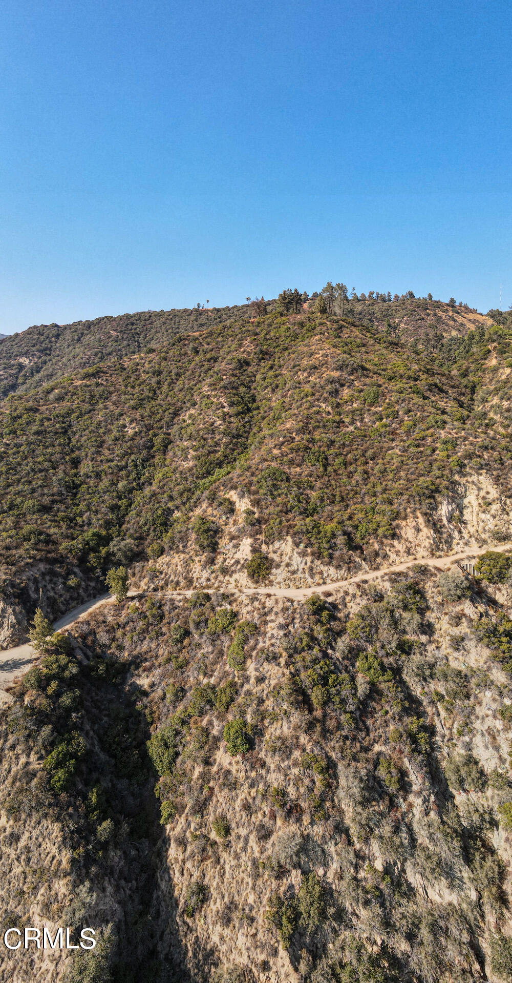 0 Mt Wilson Toll Road Altadena, CA 91001 - Photo 19 of 20 20221018_055113976_iOS