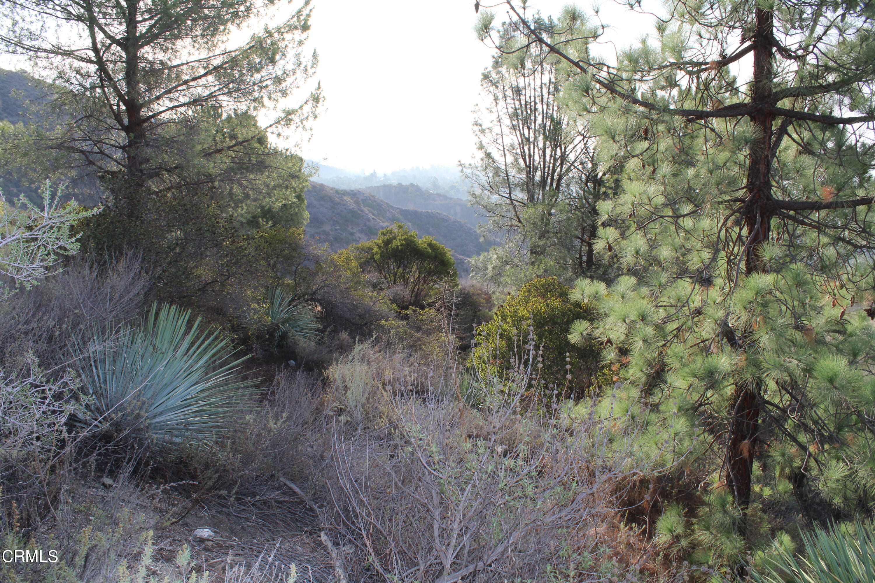 0 Mt Wilson Toll Road Altadena, CA 91001 - Photo 10 of 20 IMG_0873
