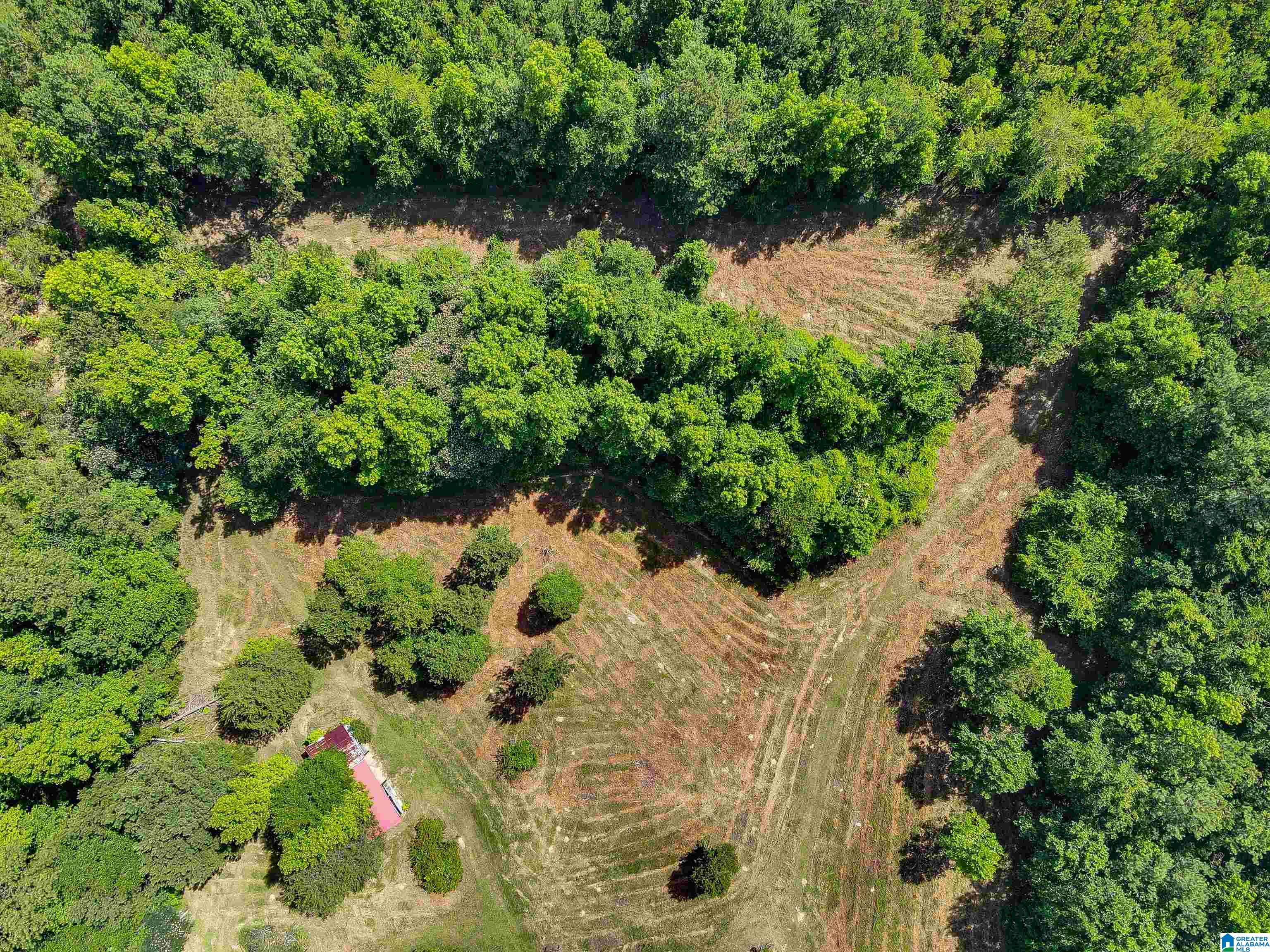 310 County Road 249 Clanton, AL 35046 - Photo 56 of 85