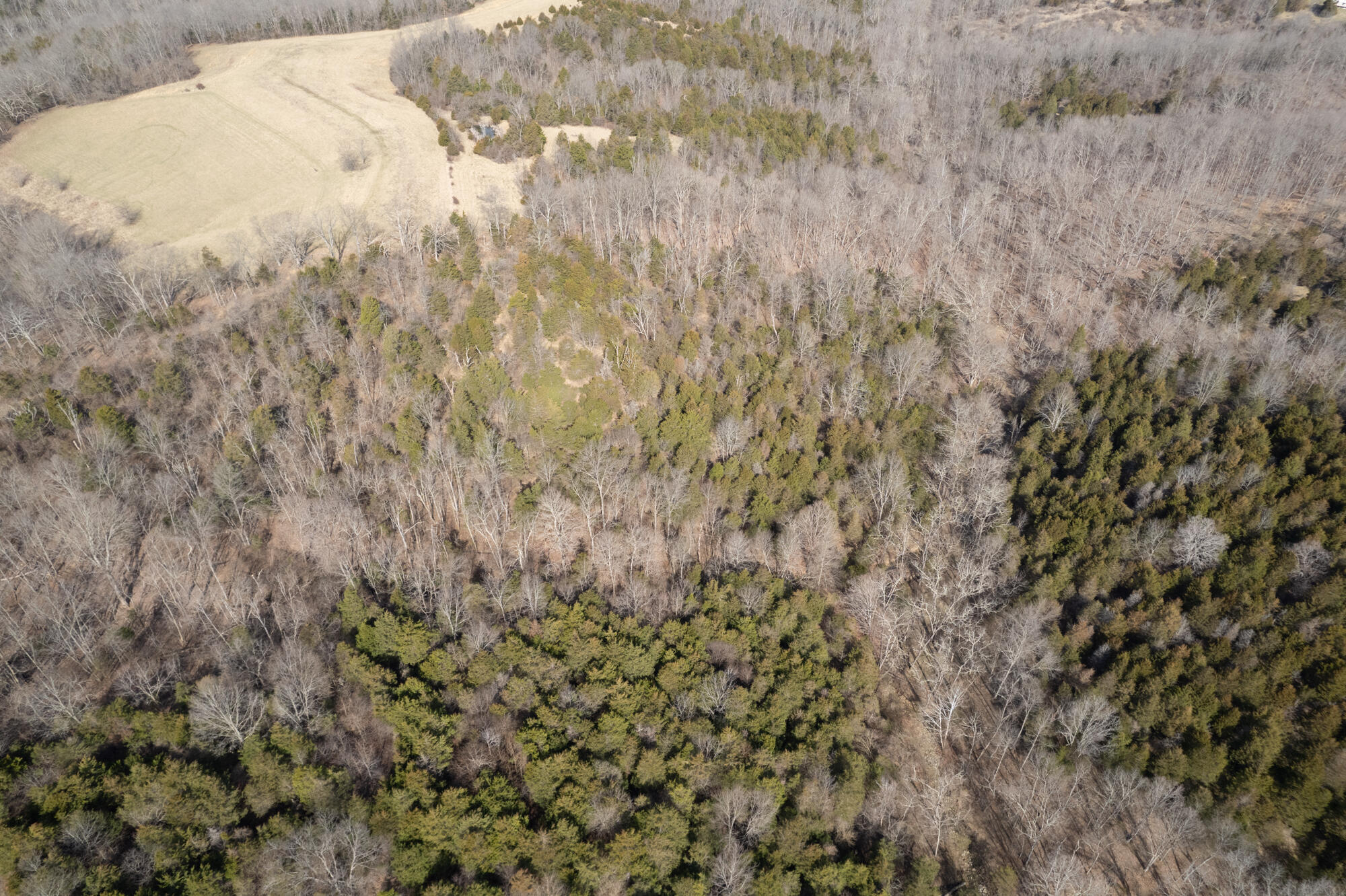 2381 Hogg Ridge Road Williamstown, KY 41097 - Photo 40 of 48 Gallery Image 40