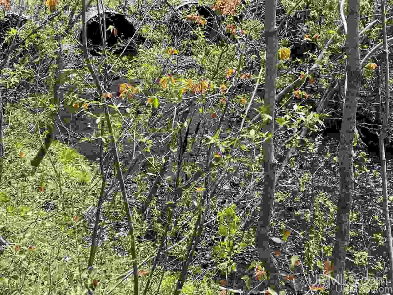 E4792 Sunset Road Ironwood, MI 49938 - Photo 3 of 10 Gallery Image 3